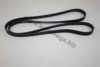 AUTOMEGA 3063400637 V-Ribbed Belts